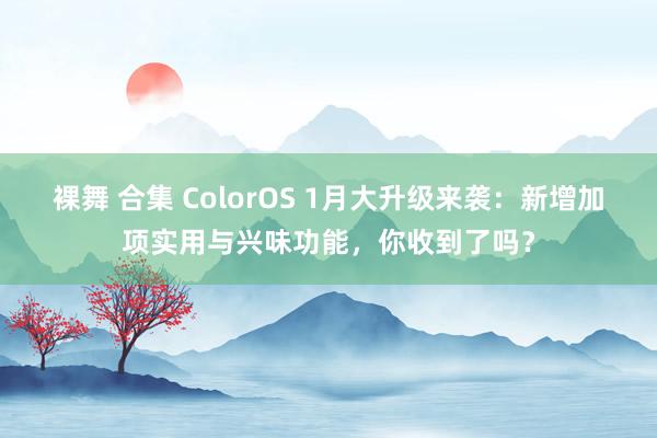 裸舞 合集 ColorOS 1月大升级来袭：新增加项实用与兴味功能，你收到了吗？