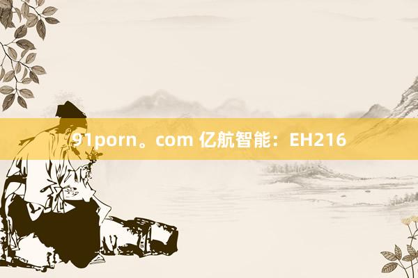 91porn。com 亿航智能：EH216